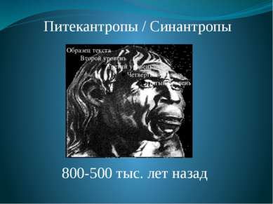 Питекантропы / Синантропы 800-500 тыс. лет назад Питекантропы и синантропы. О...