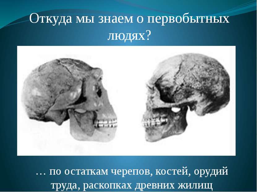 Откуда мы знаем о первобытных людях? … по остаткам черепов, костей, орудий тр...