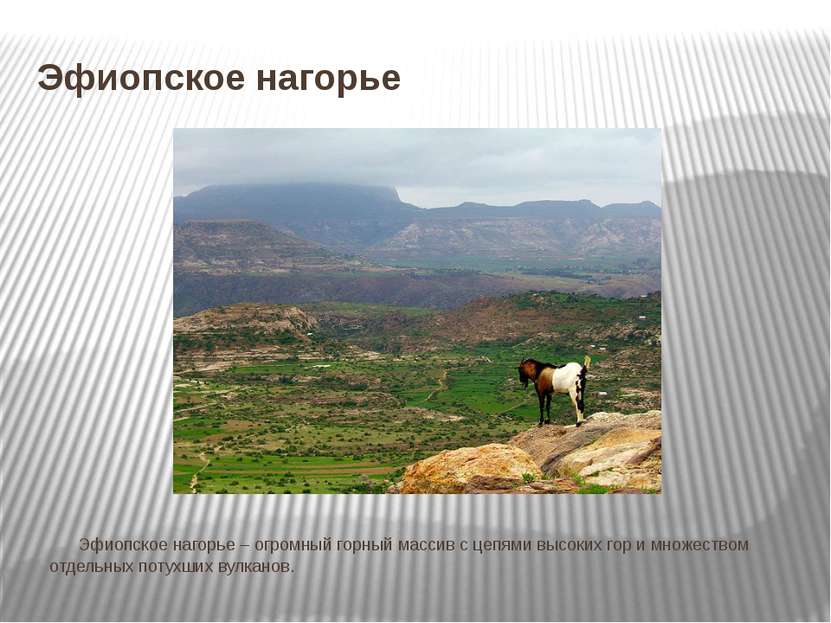 Эфиопское нагорье Эфиопское нагорье – огромный горный массив с цепями высоких...