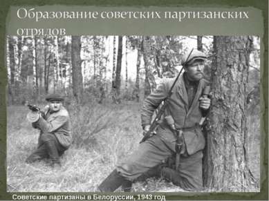 Советские партизаны в Белоруссии, 1943 год