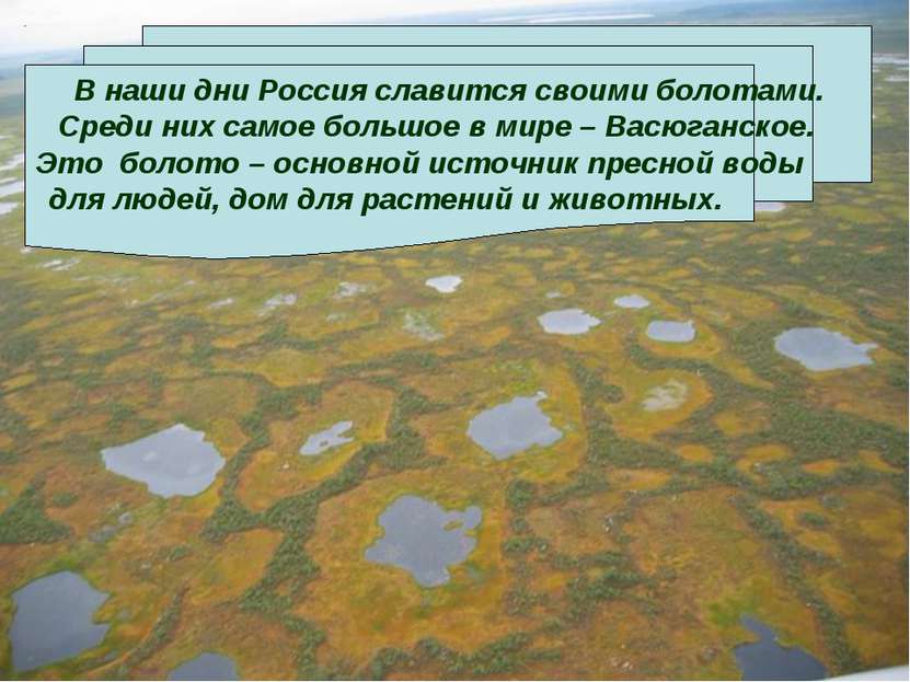 В наши дни Россия славится своими болотами. Среди них самое большое в мире – ...