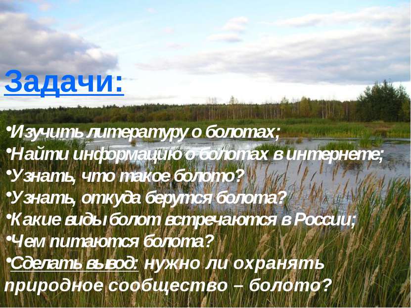 Задачи: Изучить литературу о болотах; Найти информацию о болотах в интернете;...