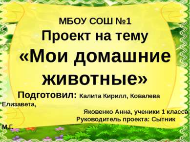 МБОУ СОШ №1 Проект на тему «Мои домашние животные» Подготовил: Калита Кирилл,...