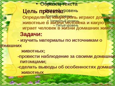 Цель проекта: Определить, какую роль играют домашние животные в жизни человек...