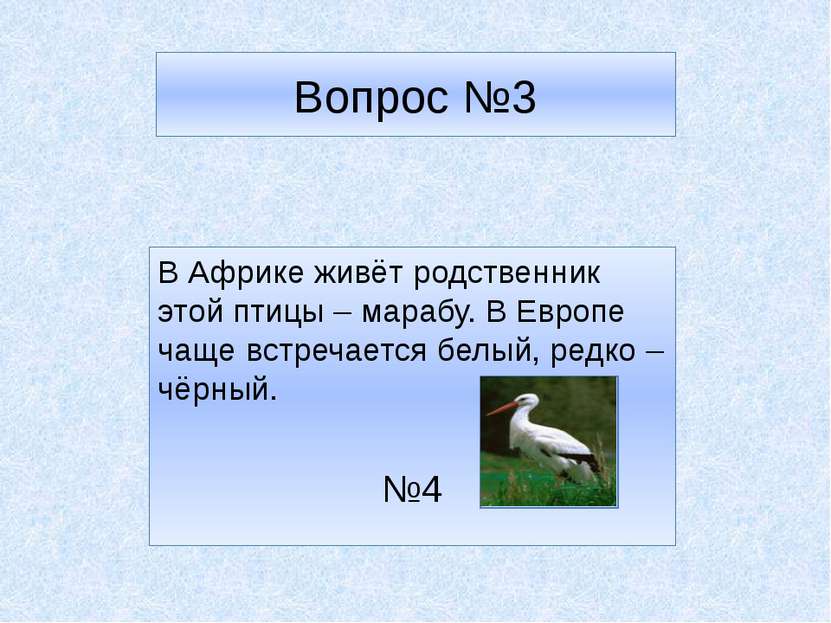 Вопрос №3 В Африке живёт родственник этой птицы – марабу. В Европе чаще встре...