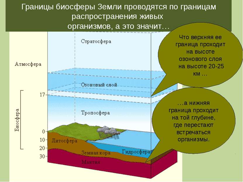 Границы биосферы Земли проводятся по границам распространения живых организмо...