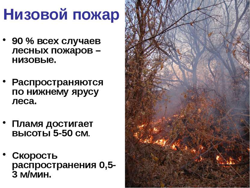 Низовой пожар 90 % всех случаев лесных пожаров – низовые. Распространяются по...