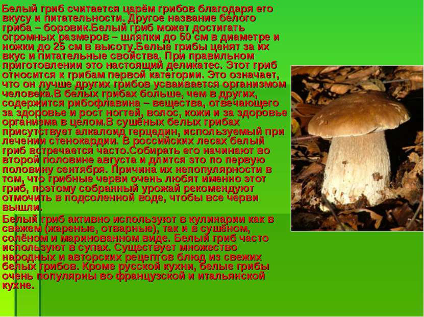 Почему грибы считают