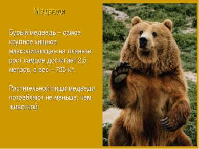 Бурый медведь – самое крупное хищное млекопитающее на планете: рост самцов до...