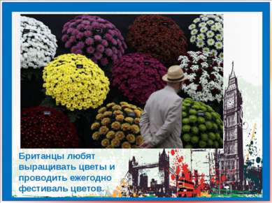 Британцы любят выращивать цветы и проводить ежегодно фестиваль цветов.