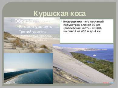 Куршская коса Куршская коса - это песчаный полуостров длиной 98 км (российска...