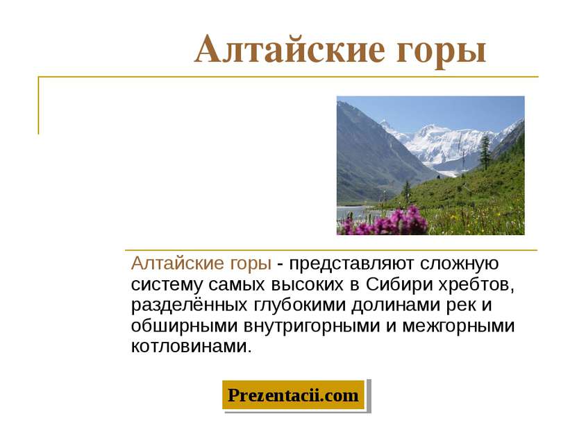 Алтайские горы Алтайские горы - представляют сложную систему самых высоких в ...