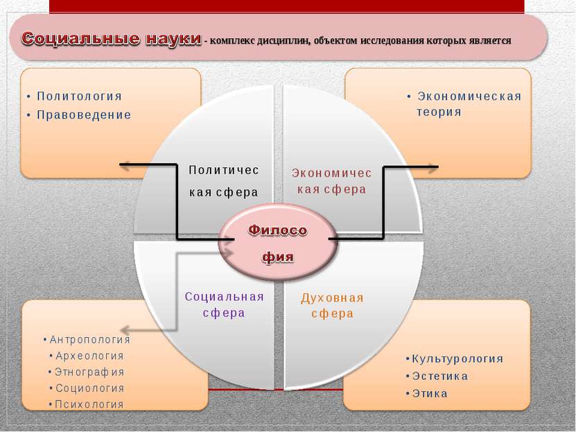 комплекс дисциплин, объектом которых является общество