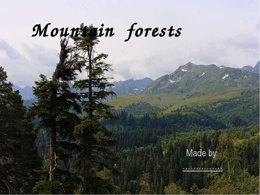 Mountain forests Made by ……………