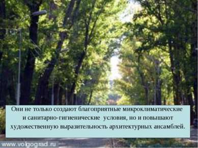 Они не только создают благоприятные микроклиматические и санитарно-гигиеничес...