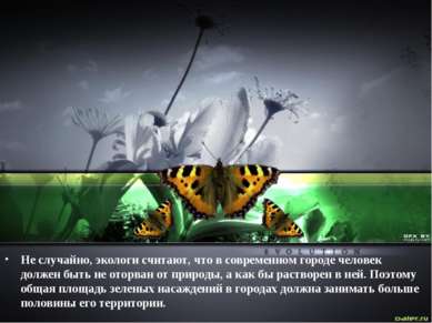 Не случайно, экологи считают, что в современном городе человек должен быть не...