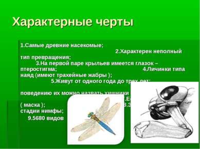 Характерные черты 1.Самые древние насекомые; 2.Характерен неполный тип превра...