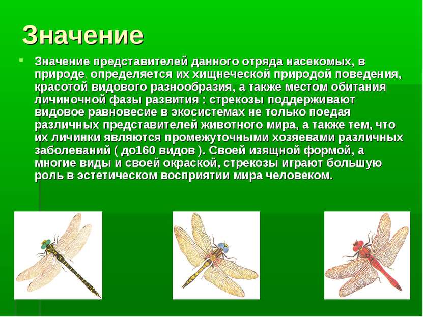 Значение Значение представителей данного отряда насекомых, в природе, определ...