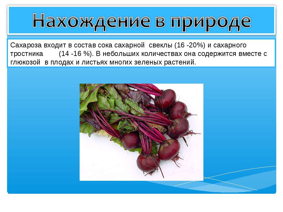 Нахождение в природе углеводов. Нахождение в природе сахарозы. Распространение в природе сахарозы. Нахождение сахара в природе. Где содержится сахароза в природе.