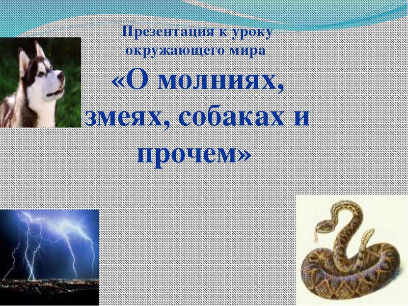 Презентация к уроку окружающего мира «О молниях, змеях, собаках и прочем»