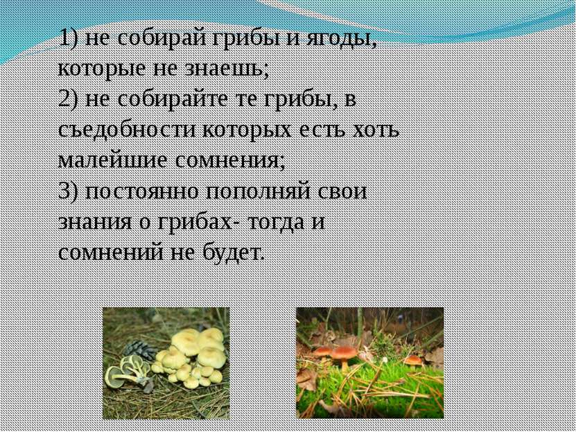 1) не собирай грибы и ягоды, которые не знаешь; 2) не собирайте те грибы, в с...
