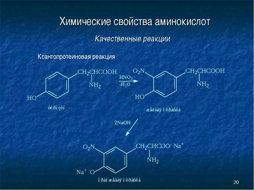 * Химические свойства аминокислот Качественные реакции Ксантопротеиновая реакция