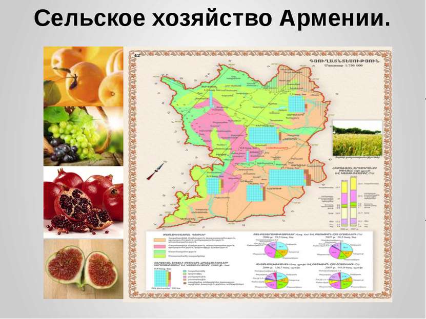 Сельское хозяйство Армении.