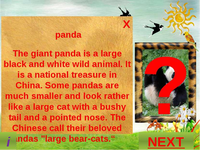 ? What is this animal? GUESS? P A N D A NEXT i X panda The giant panda is a l...