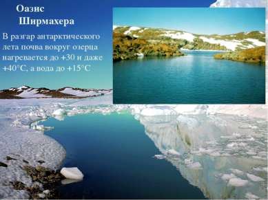 Оазис Ширмахера В разгар антарктического лета почва вокруг озерца нагревается...