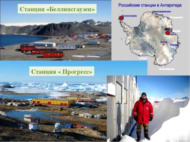 В 1968 году основана самая северная советская научная станция в Антарктиде — ...