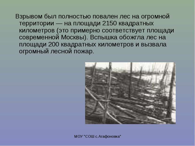 МОУ "СОШ с.Агафоновка" Взрывом был полностью повален лес на огромной территор...