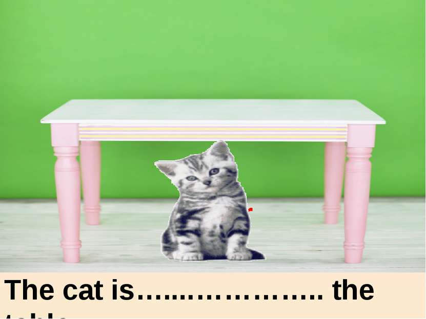 under The cat is…....………….. the table. under