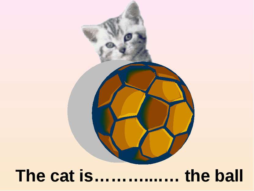 behind The cat is………....… the ball