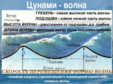 Цунами - волна ГРЕБЕНЬ – самая высокая часть волны ПОДОШВА – самая низкая час...