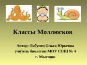 Классы Моллюсков