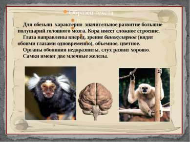 Для обезьян характерно значительное развитие большие полушарий головного мозг...