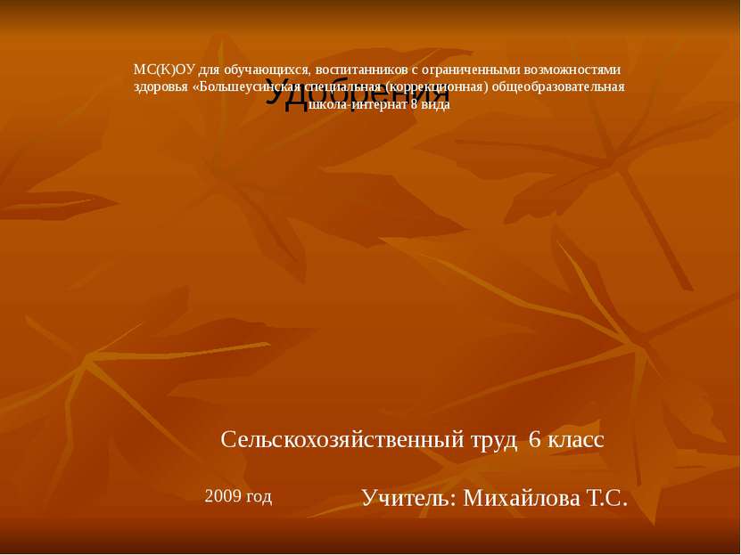 Удобрения Сельскохозяйственный труд 6 класс Учитель: Михайлова Т.С. 2009 год ...