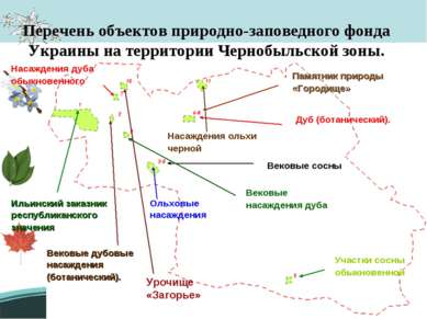 Перечень объектов природно-заповедного фонда Украины на территории Чернобыльс...