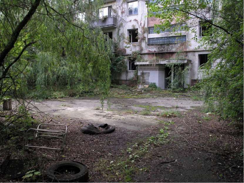 Чернобыль - это самый эффективный "заповедник". Природа "зализывает раны", ка...