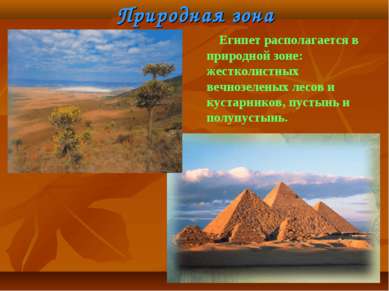 Природная зона Египет располагается в природной зоне: жестколистных вечнозеле...