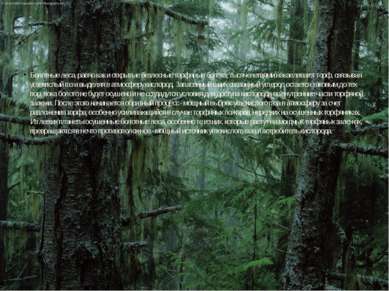 Болотные леса, равно как и открытые безлесные торфяные болота, тысячелетиями ...