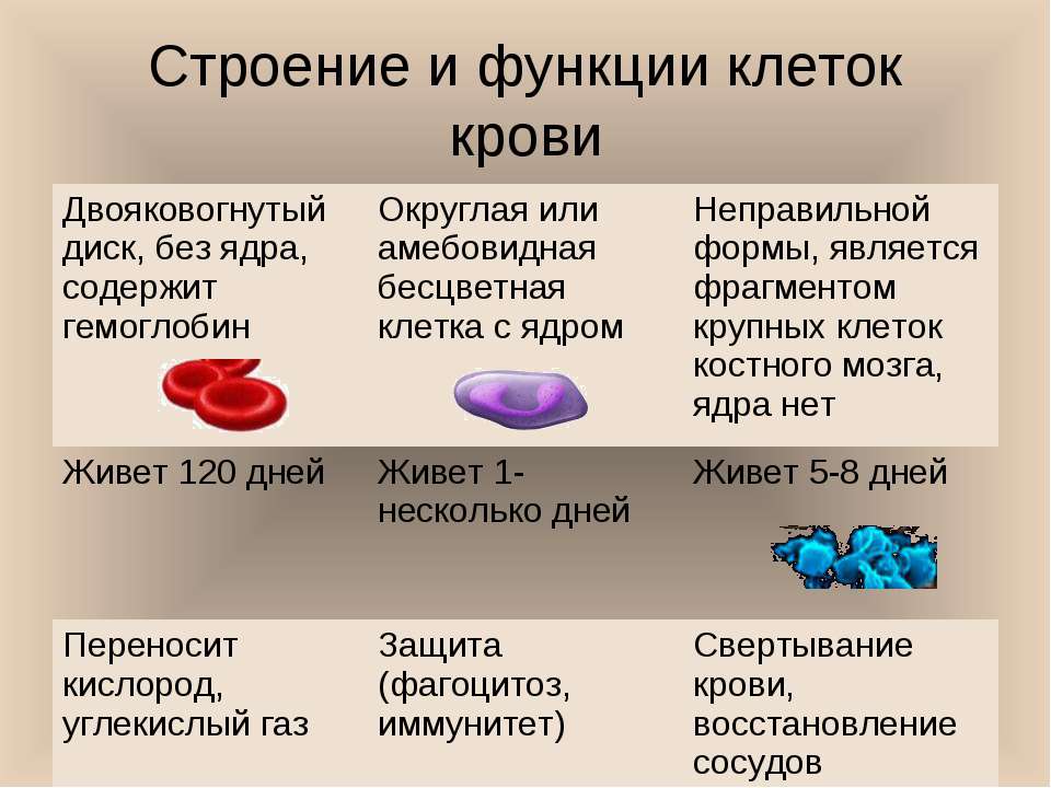 Содержание соли в крови человека