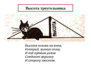 Высота треугольника Высота похожа на кота, Который, выгнув спину, И под прямы...