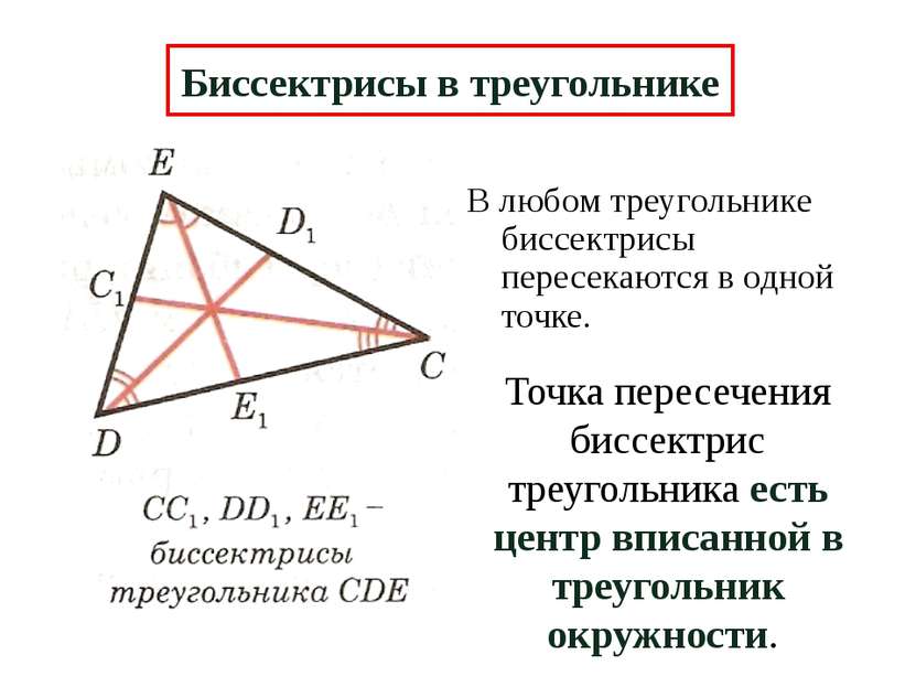 В любом треугольнике биссектрисы пересекаются в одной точке. Биссектрисы в тр...
