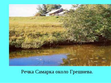 Речка Самарка около Грешнева.