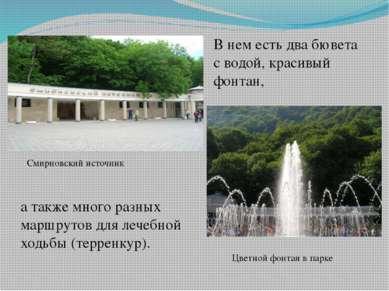 В нем есть два бювета с водой, красивый фонтан, а также много разных маршруто...