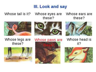 III. Look and say Whose paws are these? Whose tail is it? Whose eyes are thes...