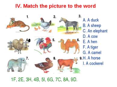 IV. Match the picture to the word 1. 2. 3. 4. 4. 5. 6. 7. 8. 9. A. A duck B. ...