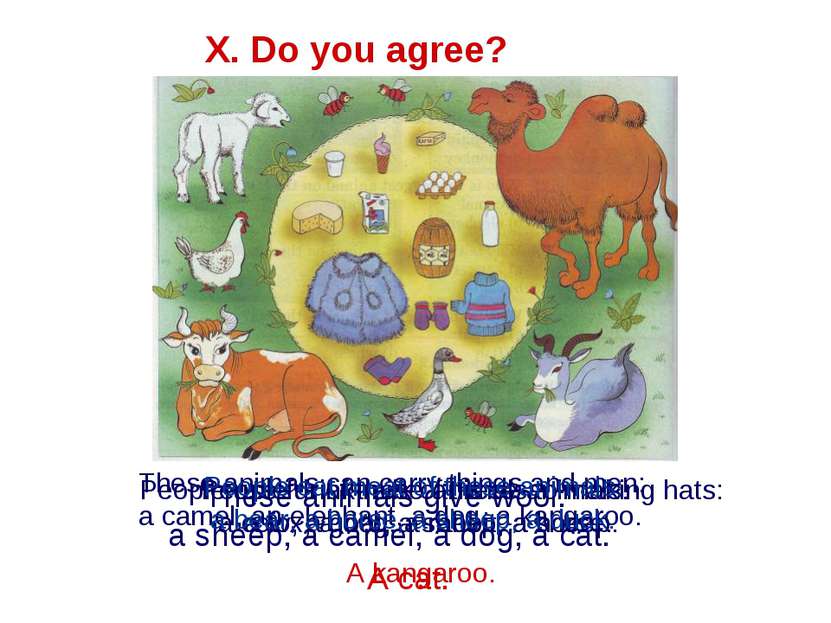 X. Do you agree? These animals give wool: a sheep, a camel, a dog, a cat. A c...