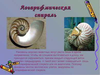 Логарифмическая спираль Раковины морских животных могут расти лишь в одном на...